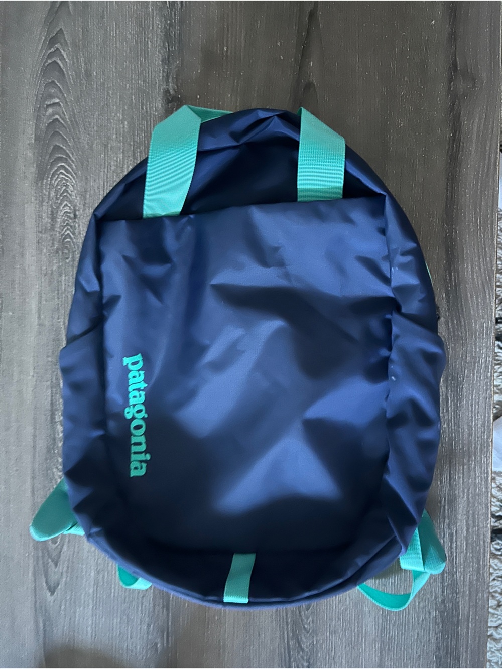 Patagonia Atom 20L backpack